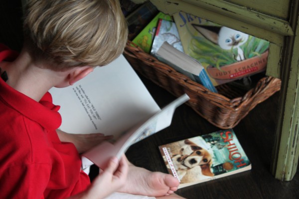 Boy Reading