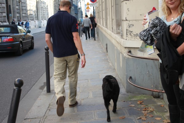 Paris Street Scene