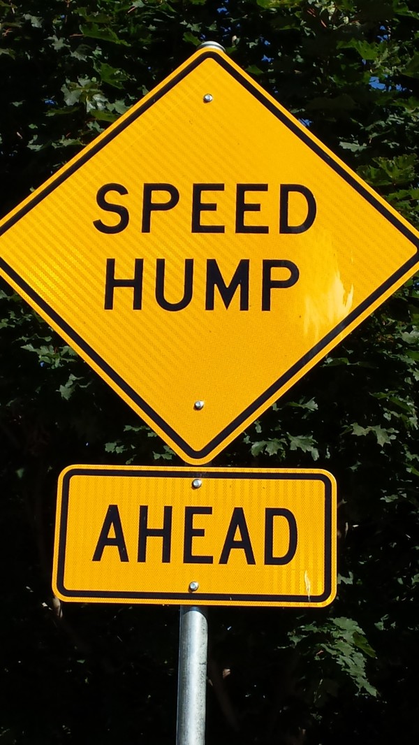 Speed Bum Sign