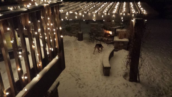 Lighted Pergola in Winter